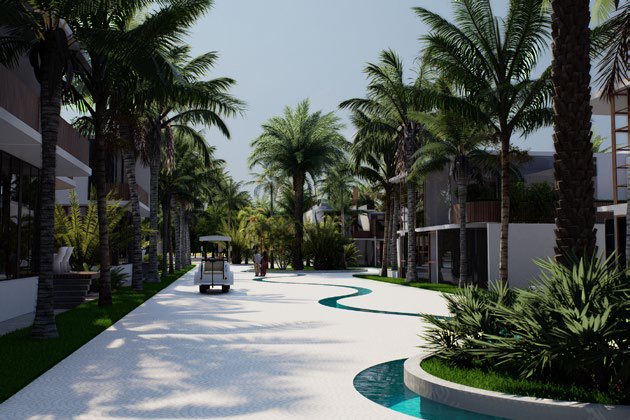 Palm-lined avenue